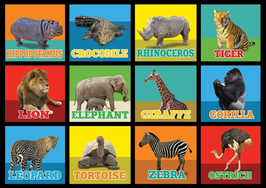 KIDCARPET.COM Animal Picture Squares 6' x 8'6" Rectangle Area Rug | Realistic Animal Photos for Kids' Room - main product image