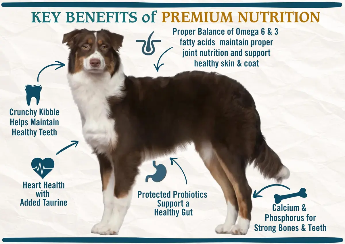 Chicken Soup for the Soul Natural Premium Adult Dry Dog Food, 4.5lb | Real Meat First Ingredient, Supports Gut & Immune Health - view 5