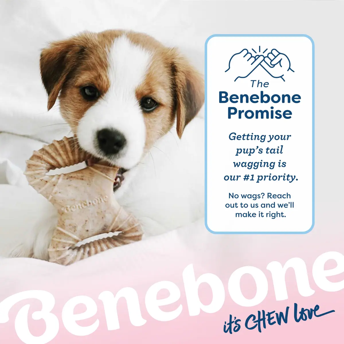 Benebone Puppy 2-Pack Dental Chew/Wishbone Dog Chew Toys, Real Bacon | Durable Nylon Chew for Puppies - view 6