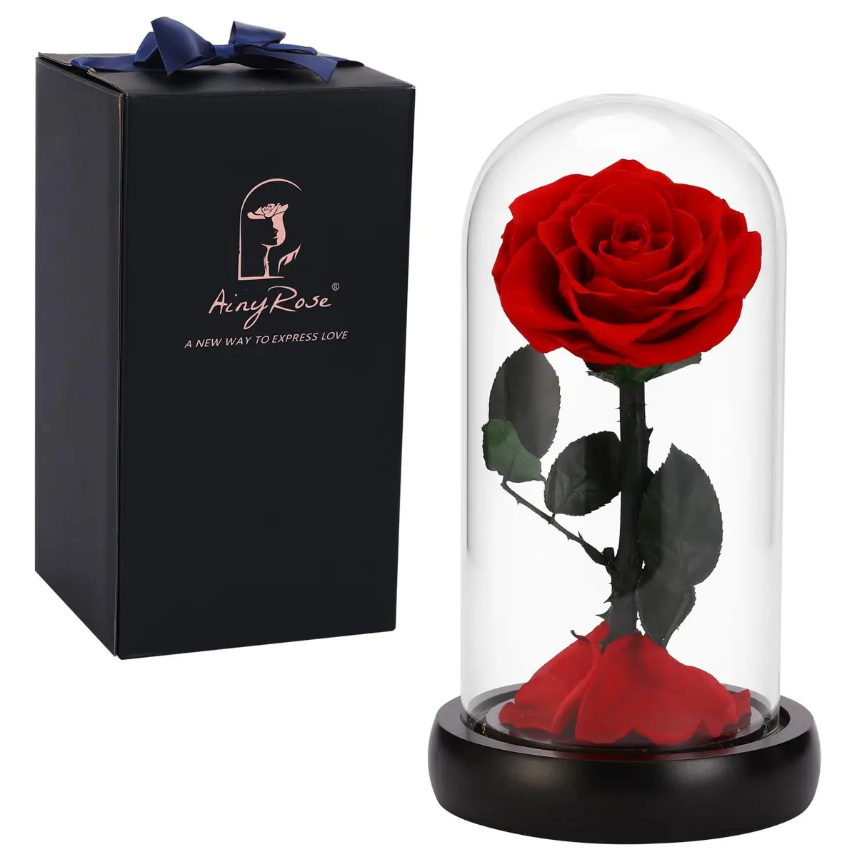 SW Forever Preserved Rose in Glass Dome, Red | Eternal Rose for Gifting - main product image