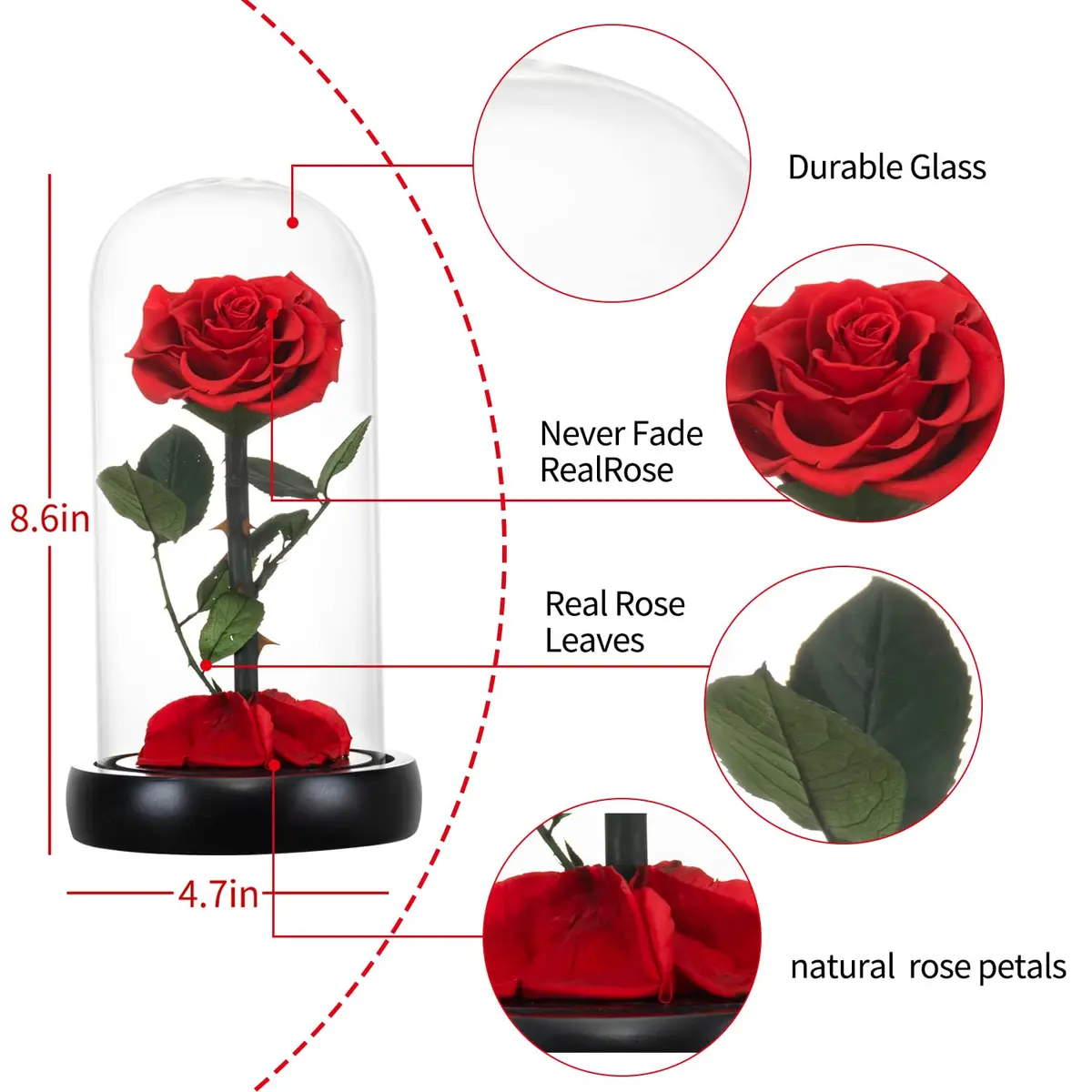SW Forever Preserved Rose in Glass Dome, Red | Eternal Rose for Gifting - view 6