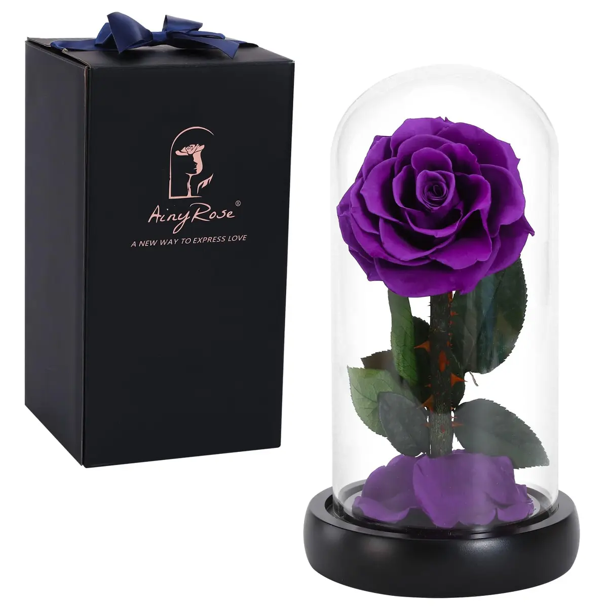 SW Preserved Real Rose Flower in Glass Dome | Romantic Gift for Women in Her Birthday & Anniversary - main product image