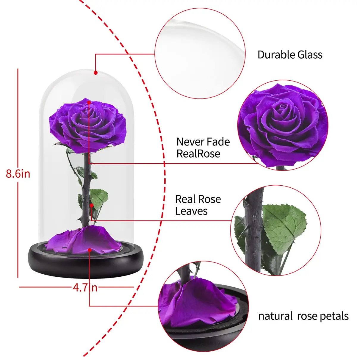 SW Preserved Real Rose Flower in Glass Dome | Romantic Gift for Women in Her Birthday & Anniversary - view 6
