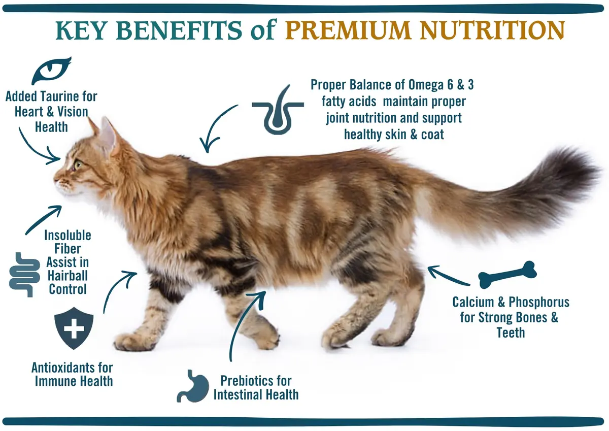 Chicken Soup for the Soul Indoor Cat Food 4.5lb | Supports Hairball & Digestive Health - view 5