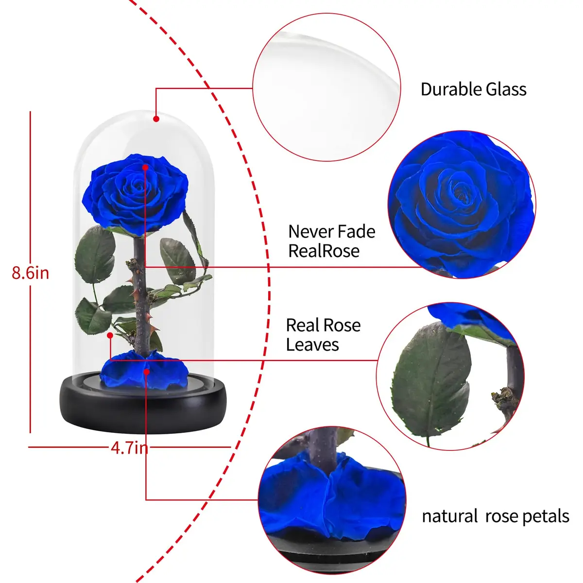 SW Forever Preserved Real Rose Flower in Glass Dome with Gift Box | Blue Eternal Rose for Mom Women, Valentine's Day, Anniversary - view 7