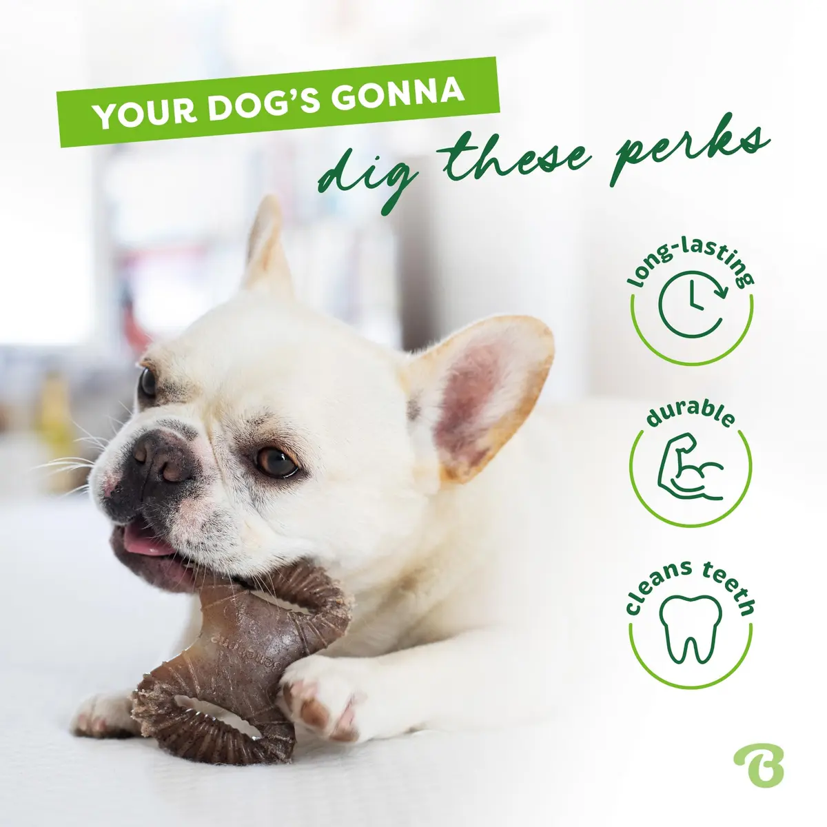 Benebone Tiny 2-Pack Dog Chew Toys, Real Bacon Flavor | Durable Nylon for Small Dogs - view 3