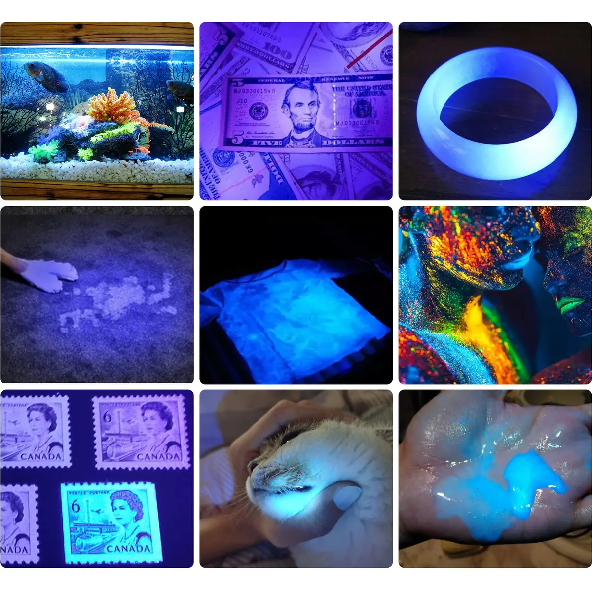 DARKBEAM UV 365nm & 395nm Dual Black Light Woods lamp Blacklight Flashlight | Detects Stains & Currency - view 2