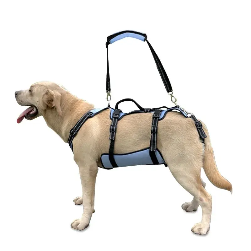 Coodeo Blue Dog Lift Harness for Hind Legs Support & Rehabilitation, Medium Size | Breathable Mesh Sling for Old, Injured, Disabled Dogs - main product image