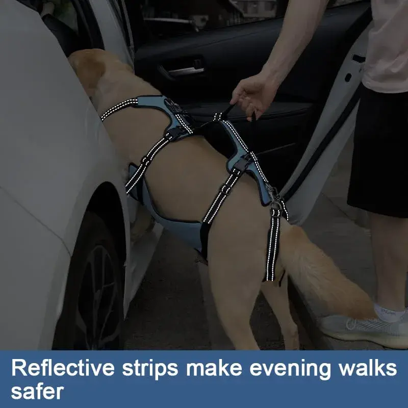 Coodeo Blue Dog Lift Harness for Hind Legs Support & Rehabilitation, Medium Size | Breathable Mesh Sling for Old, Injured, Disabled Dogs - view 7