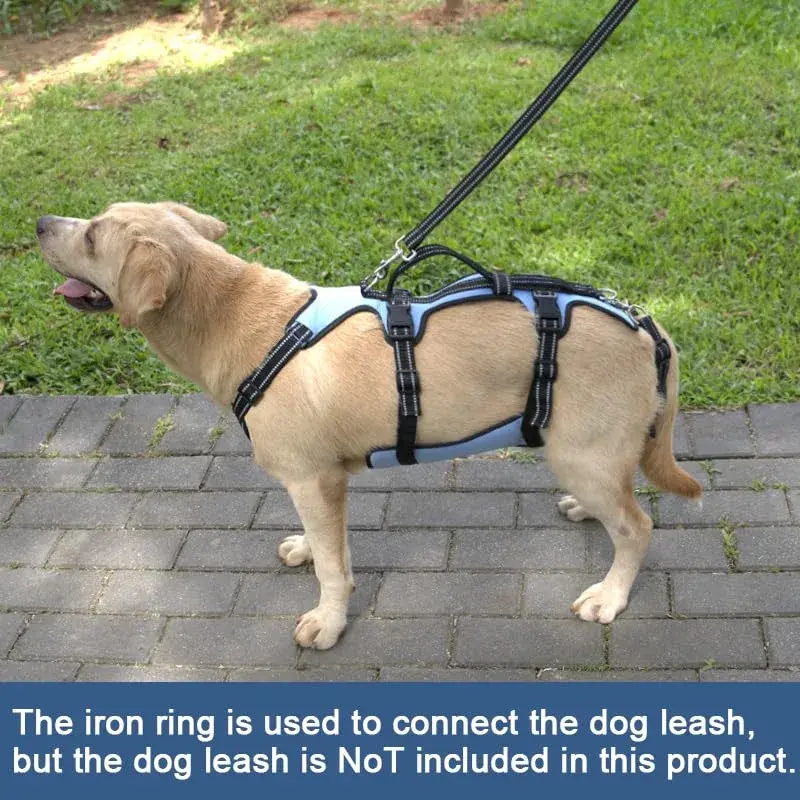 Coodeo Blue Dog Lift Harness for Hind Legs Support & Rehabilitation, Medium Size | Breathable Mesh Sling for Old, Injured, Disabled Dogs - view 4