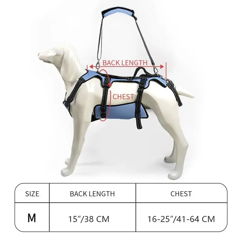 Coodeo Blue Dog Lift Harness for Hind Legs Support & Rehabilitation, Medium Size | Breathable Mesh Sling for Old, Injured, Disabled Dogs - view 5