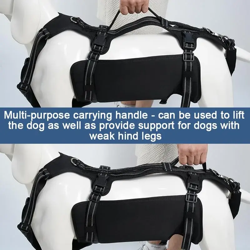 Coodeo Dog Lift Harness Full Body Support Sling for Old Dogs with Arthritis XL Blue | Dog Rehabilitation Vest for Stairs & Cars - view 6