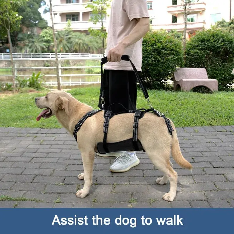 Coodeo Dog Lift Harness Full Body Support Sling for Old Dogs with Arthritis XL Blue | Dog Rehabilitation Vest for Stairs & Cars - view 3