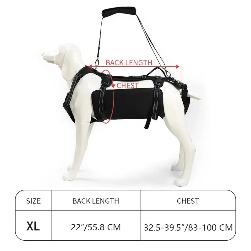 Coodeo Dog Lift Harness Full Body Support Sling for Old Dogs with Arthritis XL Blue | Dog Rehabilitation Vest for Stairs & Cars - view 5