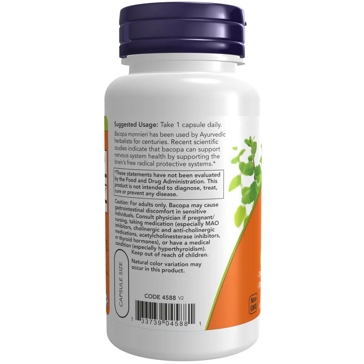 NOW Foods Bacopa Extract 450 mg | Supports Brain & Nervous System Health* | 90 Veg Capsules - view 3