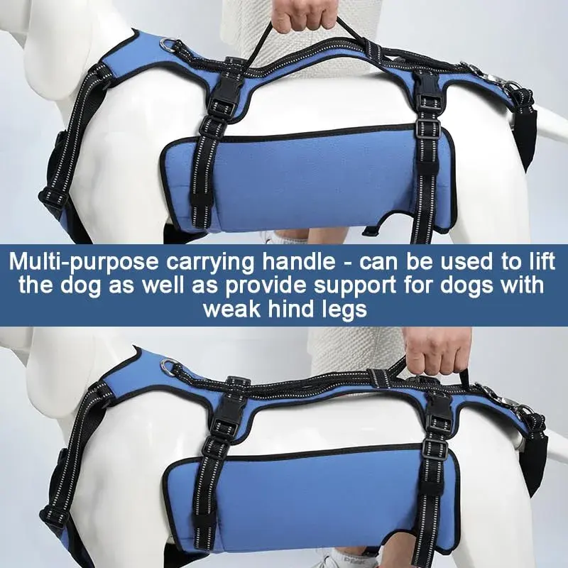 Coodeo Dog Lift Harness Full Body Support Sling for Large Dogs | Breathable Polyester Blend Blue L - view 6