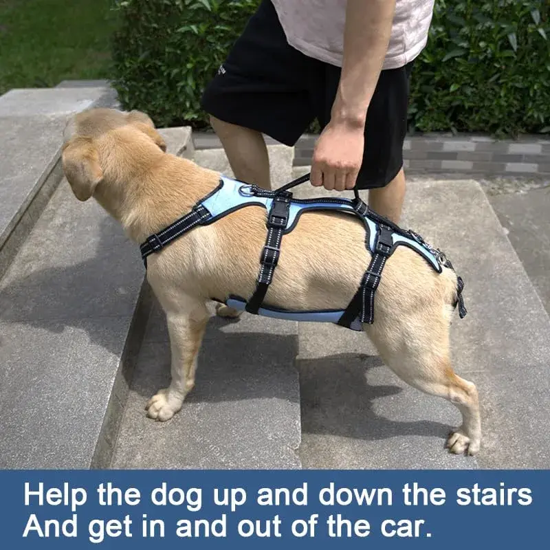 Coodeo Dog Lift Harness Full Body Support Sling for Large Dogs | Breathable Polyester Blend Blue L - view 2