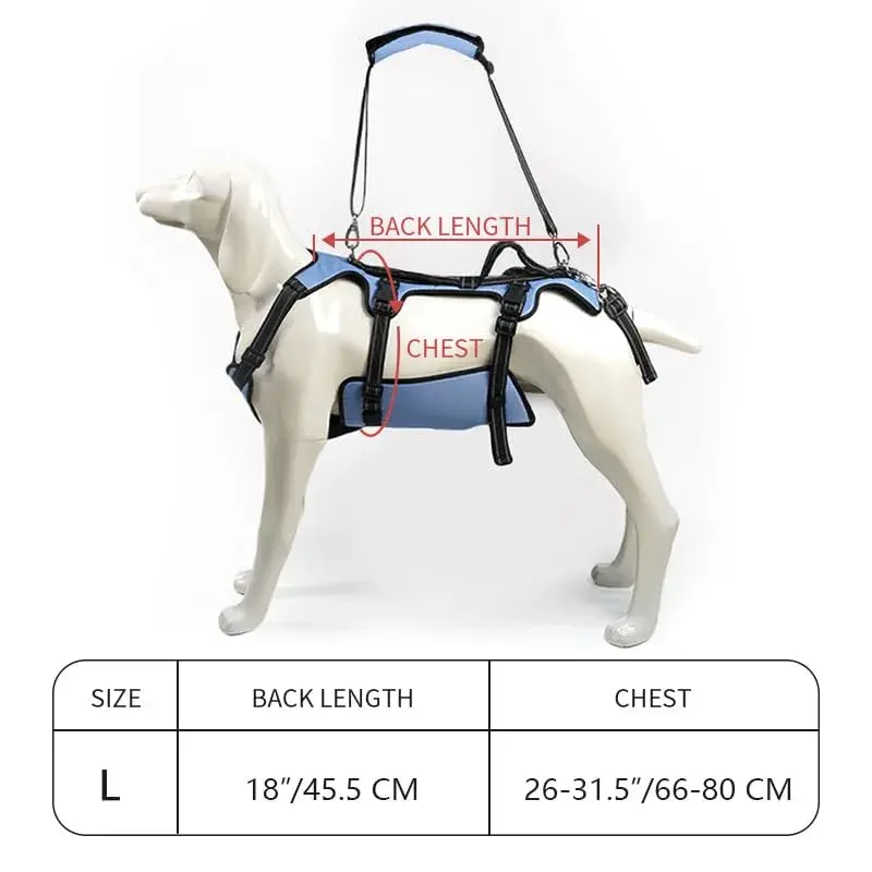 Coodeo Dog Lift Harness Full Body Support Sling for Large Dogs | Breathable Polyester Blend Blue L - view 5