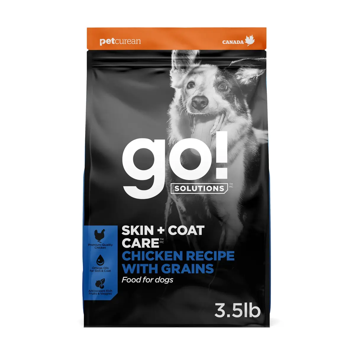 Go! Solutions Skin + Coat Care Chicken Dry Dog Food, 3.5 lb | Supports Healthy Skin & Shiny Coat - main product image