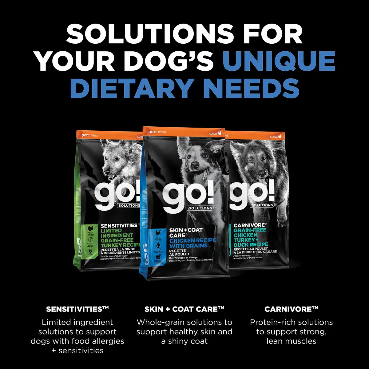 Go! Solutions Skin + Coat Care Chicken Dry Dog Food, 3.5 lb | Supports Healthy Skin & Shiny Coat - view 6