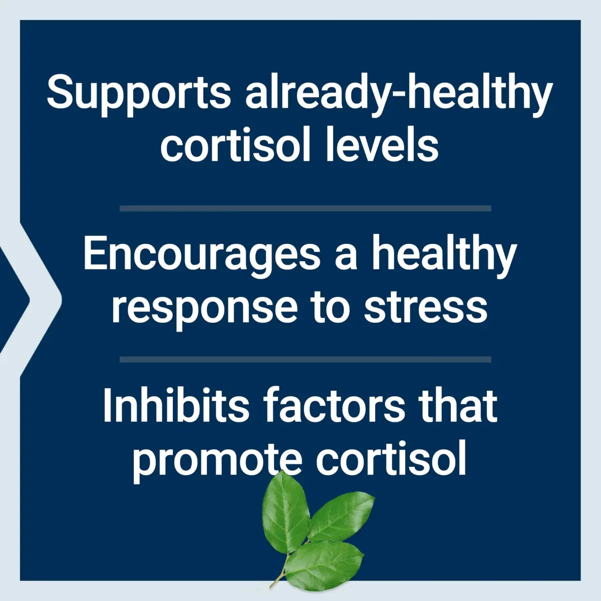 Life Extension Cortisol-Stress Balance Capsules 30 Count | Clinically Studied Stress Support - view 4