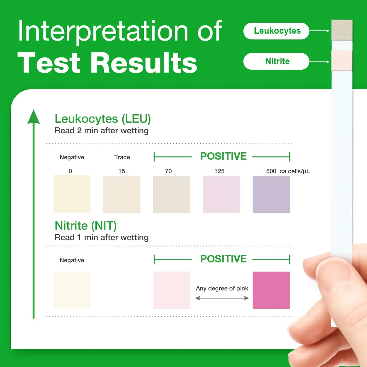 Easy@Home Urinary Tract Infection Test Strips 25 Pack | Detects Leukocytes & Nitrites for Women - view 6