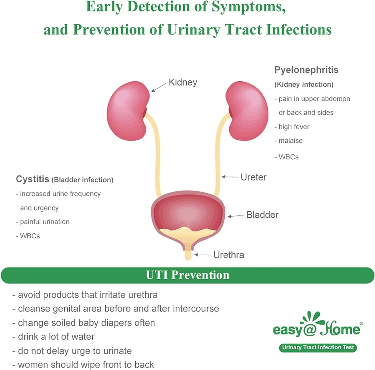 Easy@Home Urinary Tract Infection Test Strips 25 Pack | Detects Leukocytes & Nitrites for Women - view 8