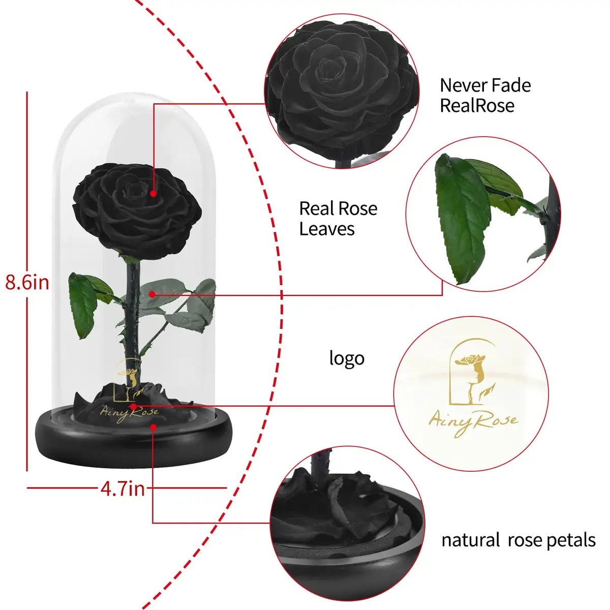 SW Forever Preserved Real Black Rose Flower in Glass Dome with Gift Box | 11.9 cm (4.7 inch) Diameter - view 6
