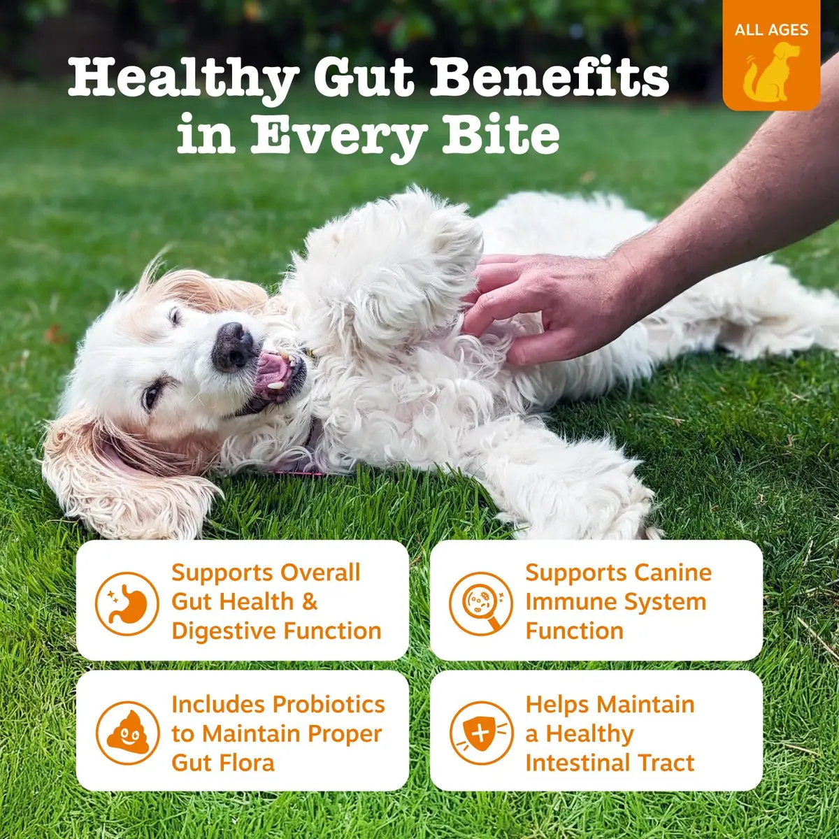 Zesty Paws Probiotics for Dogs - Gut Health, Chicken, 90 Ct | Supports Digestive & Immune Health - view 2