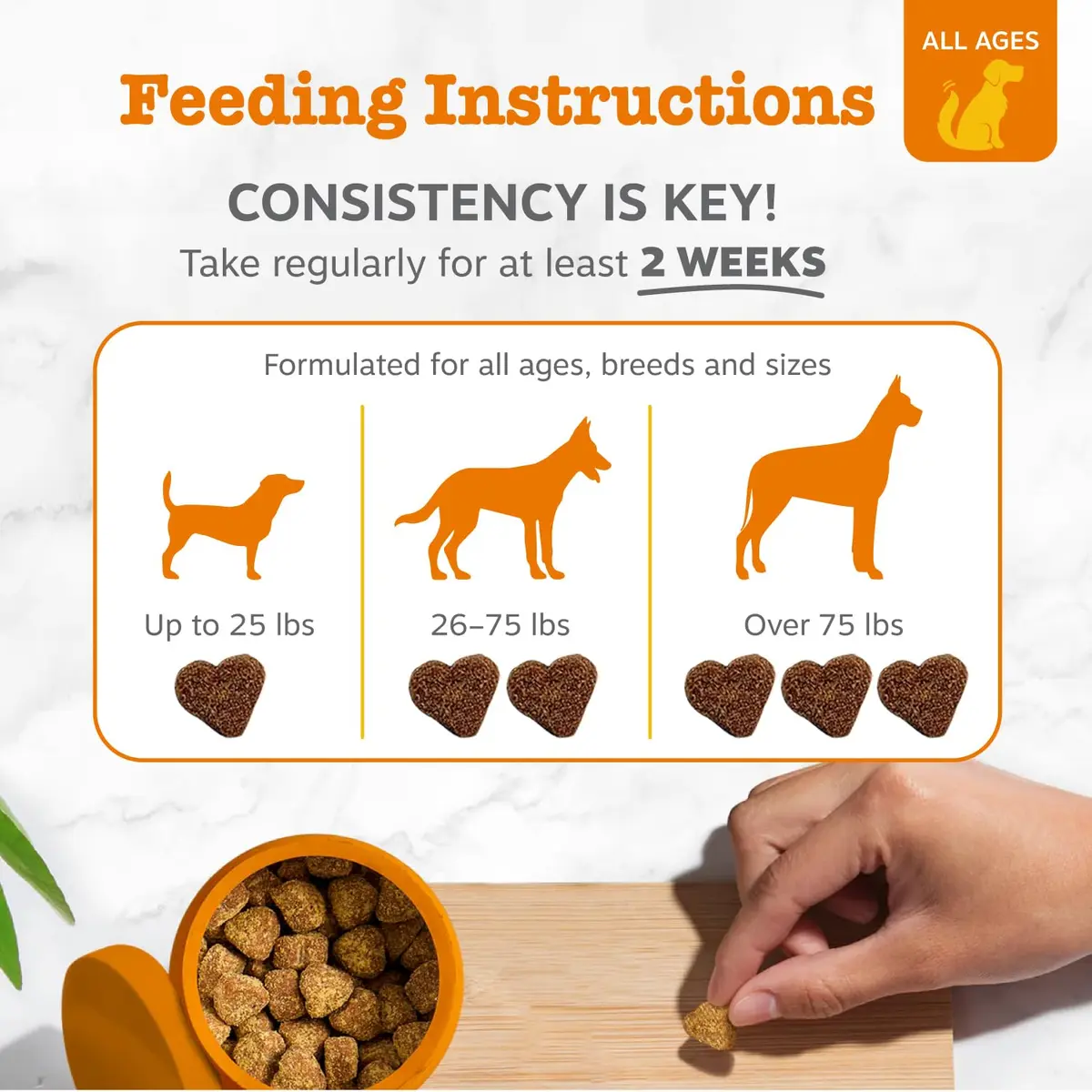 Zesty Paws Probiotics for Dogs - Gut Health, Chicken, 90 Ct | Supports Digestive & Immune Health - view 4