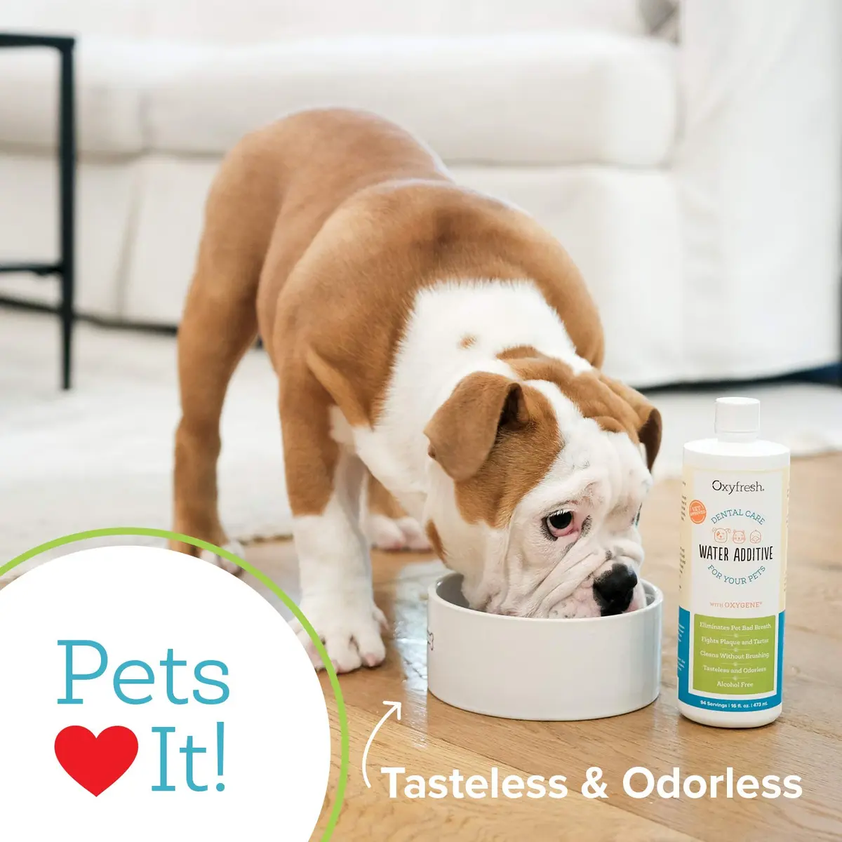 Oxyfresh Pet Dental Water Additive – No Brushing | Safe, Tasteless, Odorless Dental Care Solution for Cats & Dogs - view 5