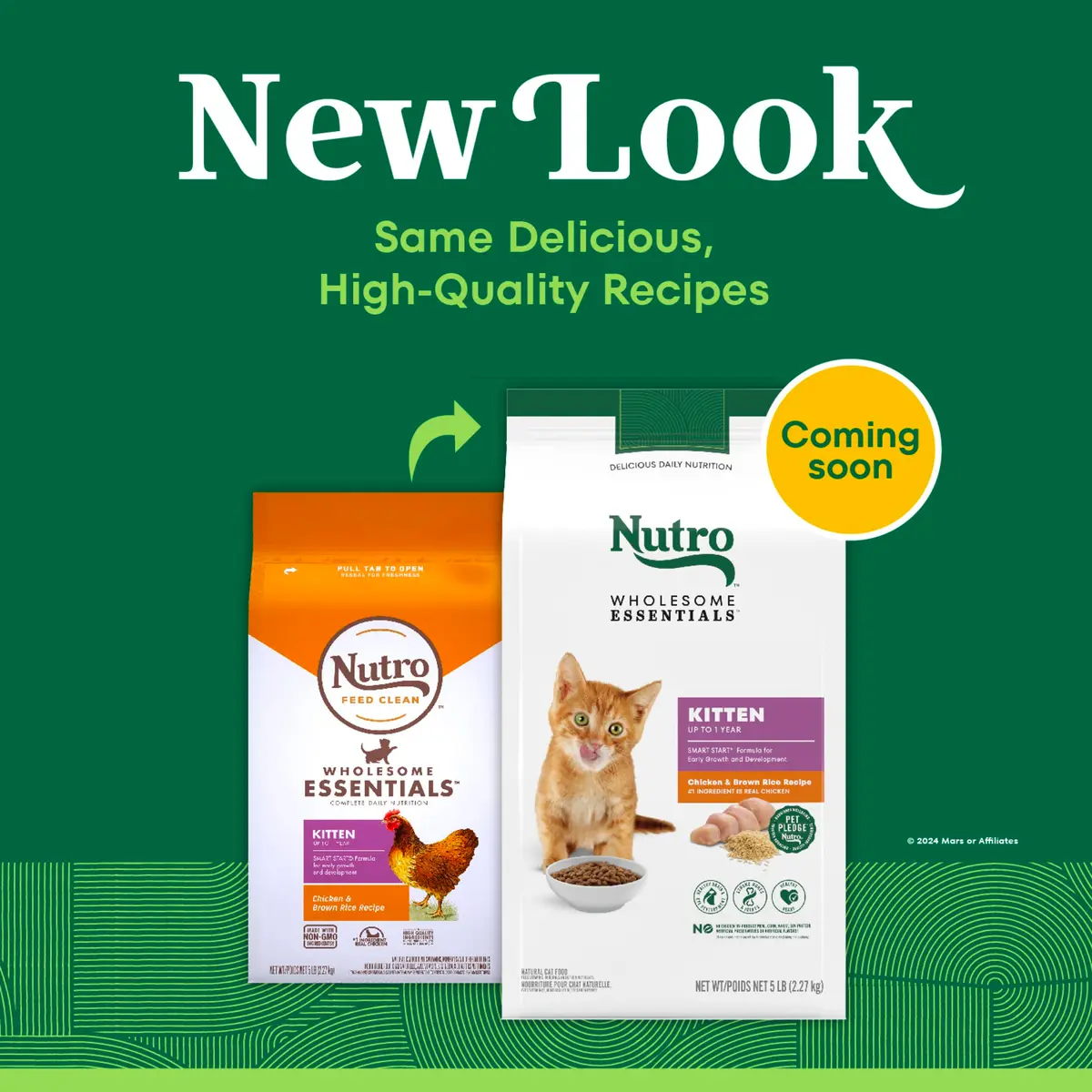 Nutro Wholesome Essentials Kitten Dry Cat Food, Chicken & Rice, 5 lb | Balanced Nutrition for Growing Kittens - view 2