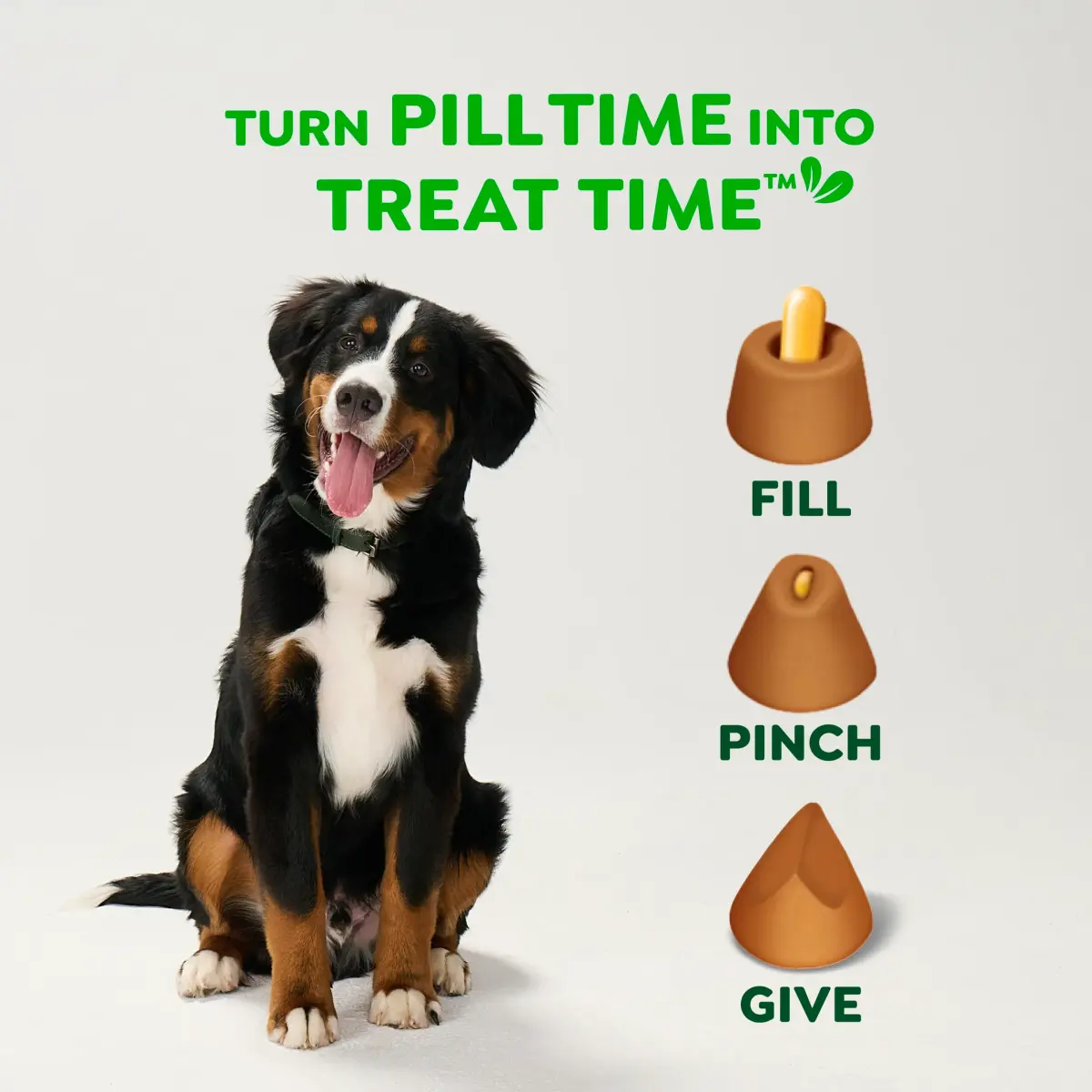 Greenies Pill Pockets Peanut Butter Dog Treats, 60 Count (15.8 oz / 448 g) | Vet-Recommended for Large Dogs - view 7