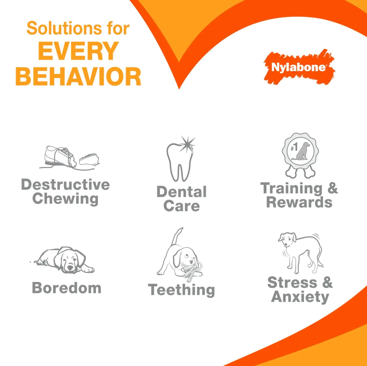 Nylabone Power Chew Customer Favorites Dog Chew Toys, Large, 3 Count | Tough Nylon for Aggressive Chewers - view 8