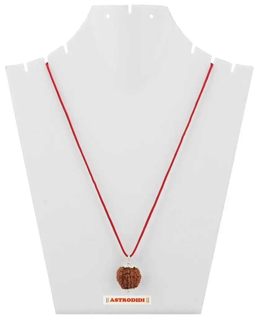ASTRODIDI 7 Mukhi Nepali Rudraksha Pendant with Red Thread | Lab Certified - view 6