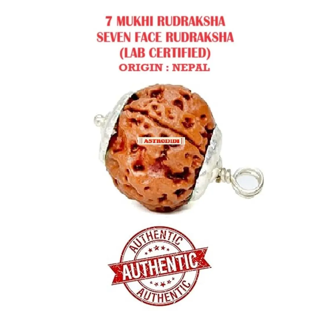 ASTRODIDI 7 Mukhi Nepali Rudraksha Pendant with Red Thread | Lab Certified - view 3