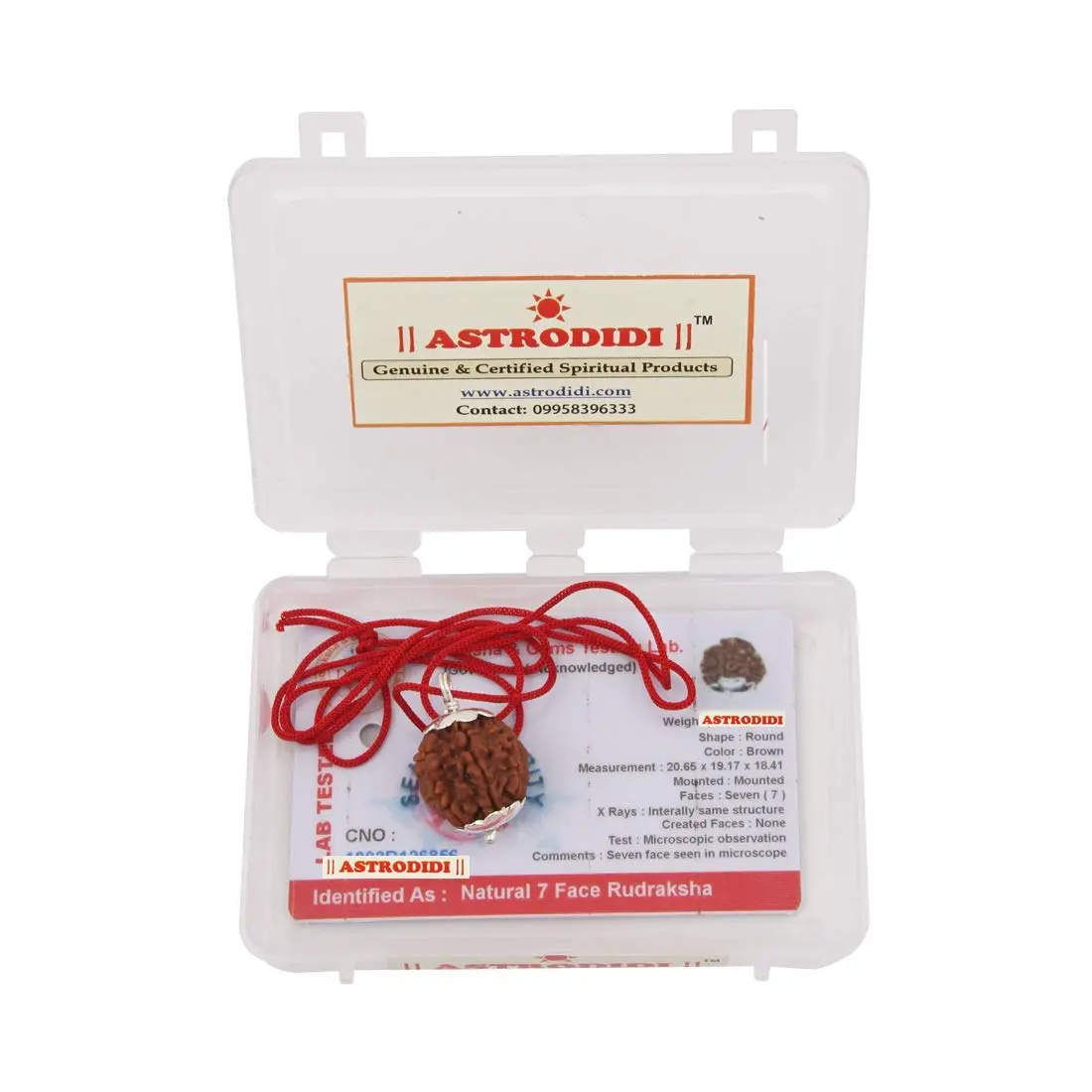 ASTRODIDI 7 Mukhi Nepali Rudraksha Pendant with Red Thread | Lab Certified - view 4