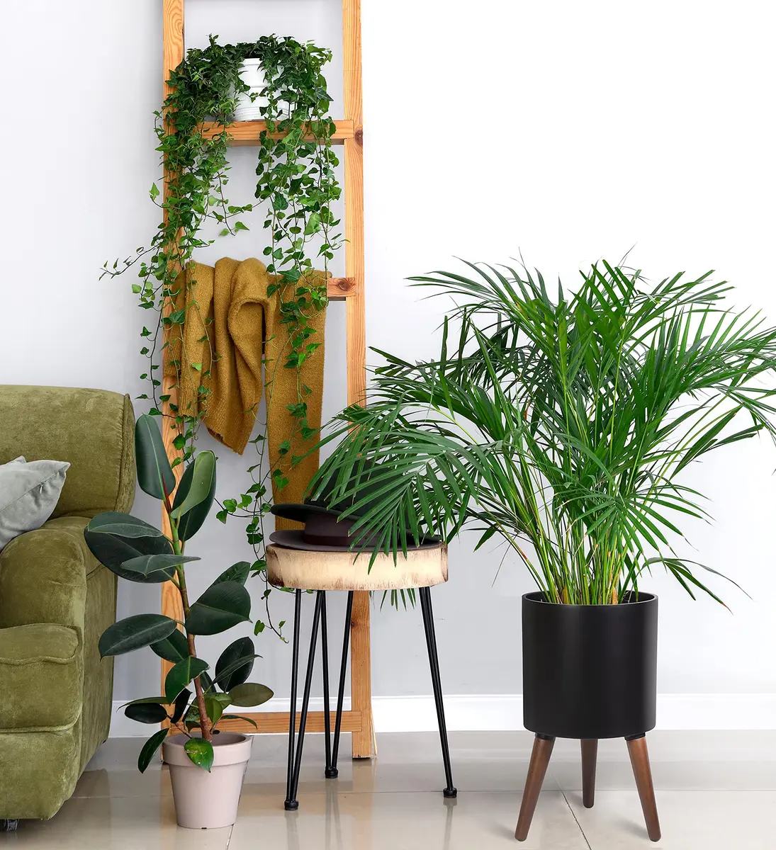 D'vine Dev 10 Inch Planter Pot with Wood Stand | Black, Mid-Century Modern, Indoor Garden - view 5