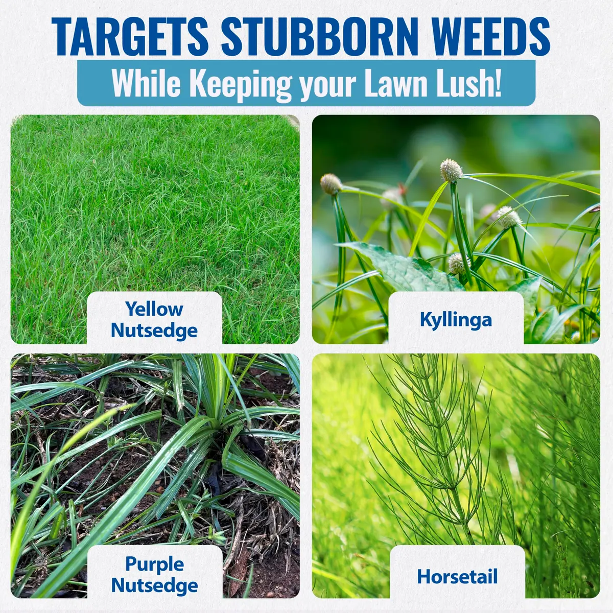 SEDGEHAMMER Sedgehammer Plus Turf Herbicide 13.5g | Nutsedge Killer for Lawns, 12 Pack - view 4