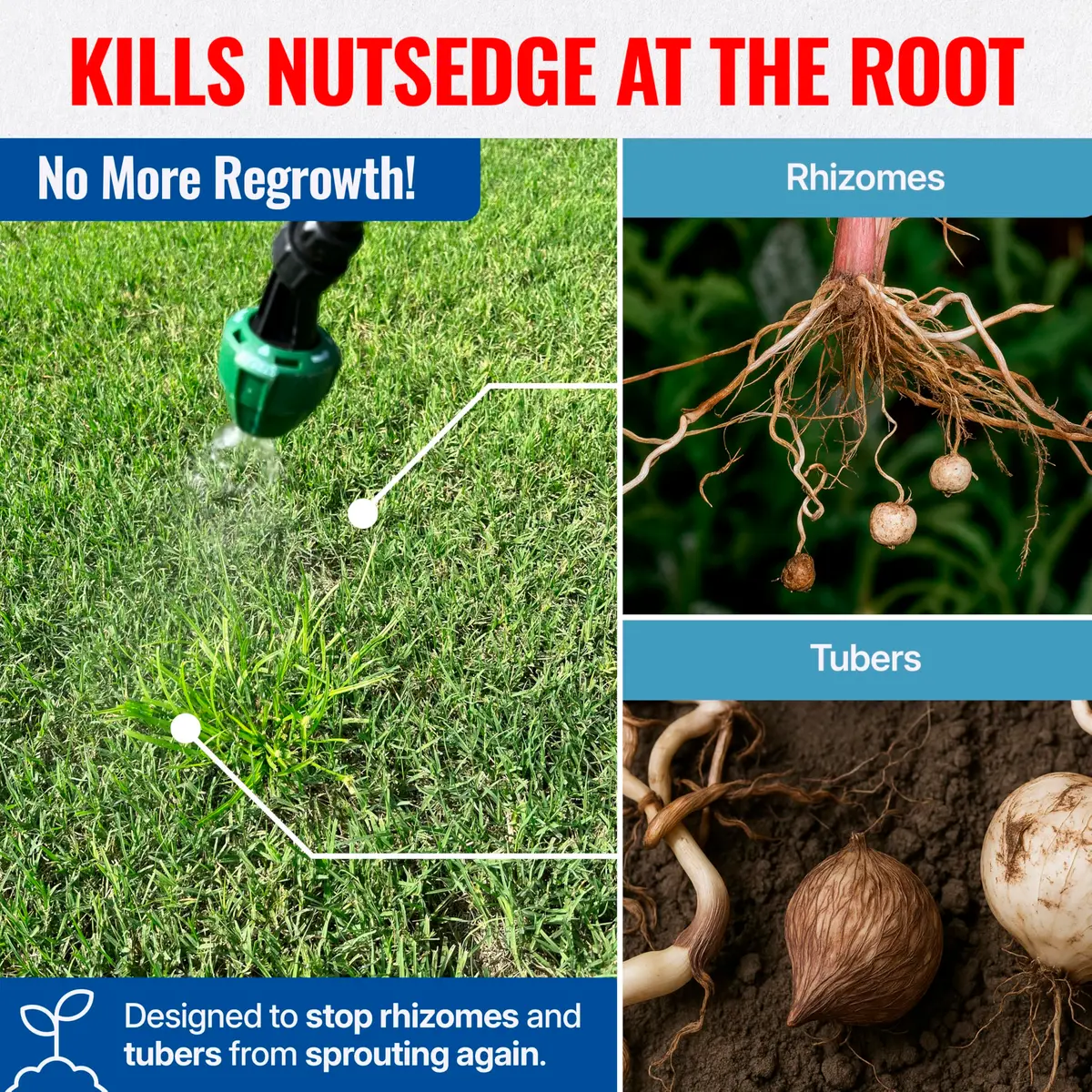 SEDGEHAMMER Sedgehammer Plus Turf Herbicide 13.5g | Nutsedge Killer for Lawns, 12 Pack - view 6