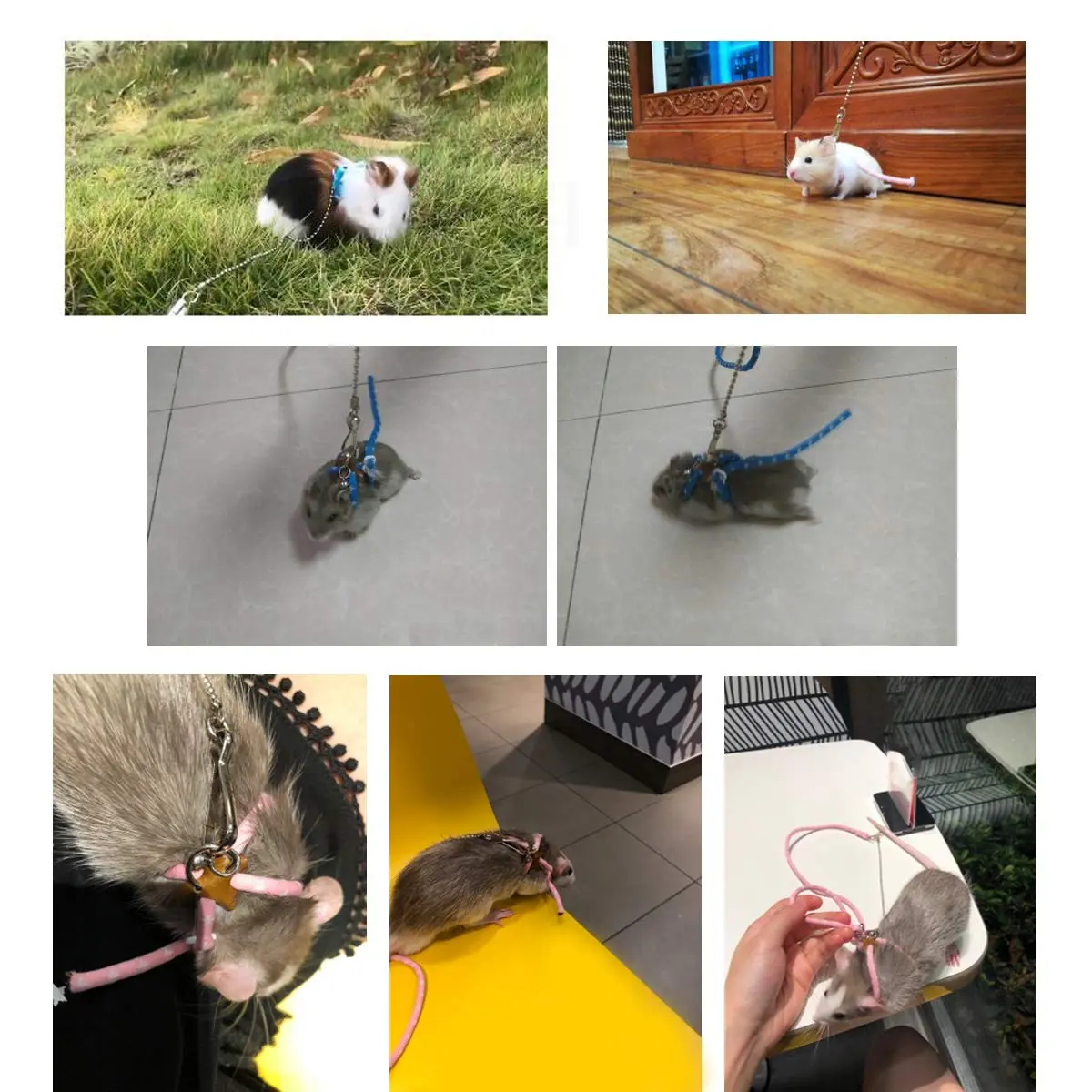Wontee Adjustable Leash Harness with Bell for Small Animals | Soft Nylon & Metal, Blue, 6-15cm Neck, 8-18cm Chest, 83cm Length - view 3
