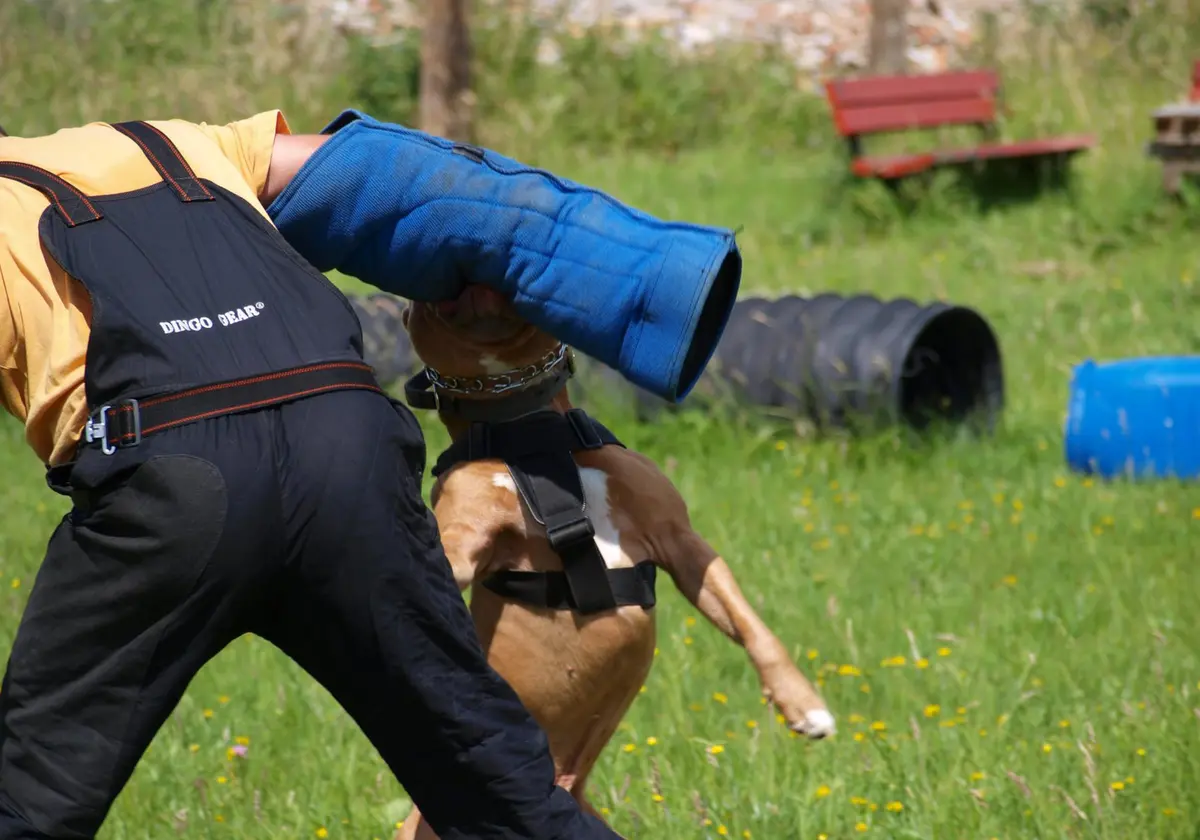Dingo Gear Impact Protection Gear Impact_Protection_Gear Blue Bite Level 3 | Advanced Dog Training Sleeve (en_US) - view 2