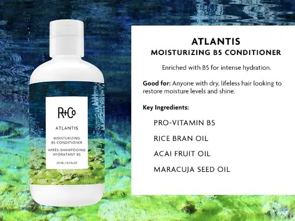 R+Co ATLANTIS Moisturizing B5 Conditioner 251ml (8.5 Fl Oz) | Hydrates Dry Hair with Rice Bran & Acai Oil - view 6