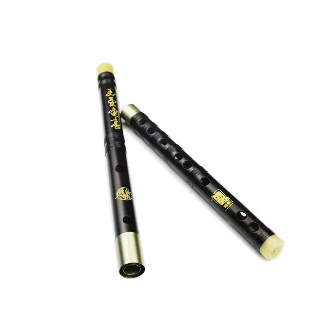 PHYSKOW Professional Rosewood Dizi Flute in F Key | Traditional Chinese Instrument - view 3