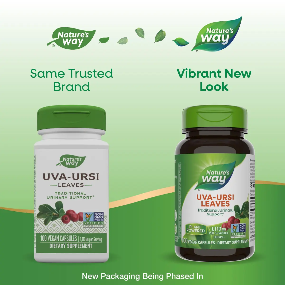 Nature's Way Uva Ursi Leaves Herbal Supplement 1110 mg 200 Count (66 Servings) | Traditional Urinary Support - view 3