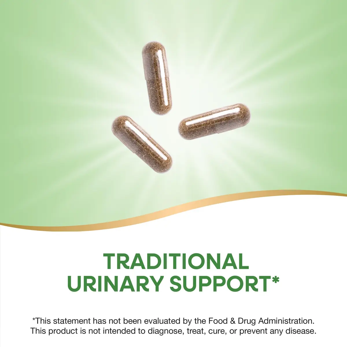 Nature's Way Uva Ursi Leaves Herbal Supplement 1110 mg 200 Count (66 Servings) | Traditional Urinary Support - view 4