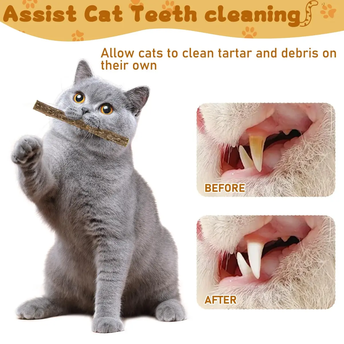 WoLover Silvervine Sticks for Cats, 25 Count | Natural Matatabi Chew Toys for Dental Care & Play - view 5