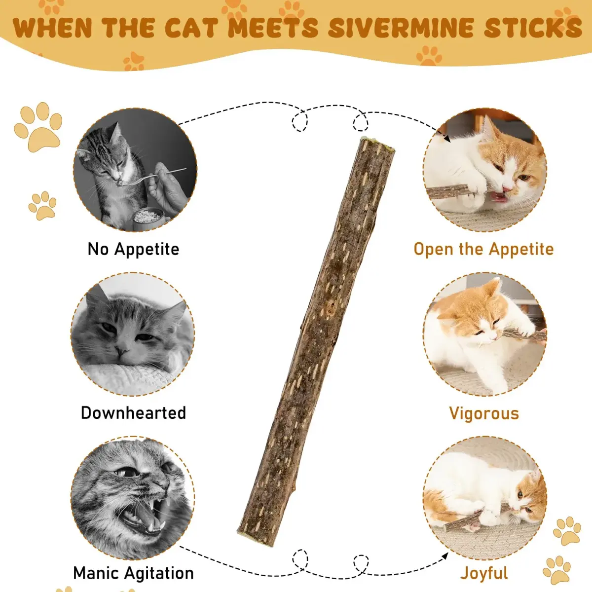 WoLover Silvervine Sticks for Cats, 25 Count | Natural Matatabi Chew Toys for Dental Care & Play - view 4