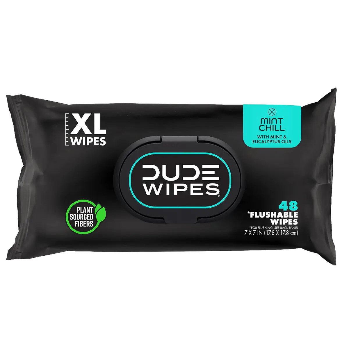 DUDE Wipes Mint Chill Adult Flushable Wet Wipes 48 Count | Refreshing, Plant-Based, Sewer & Septic Safe - main product image
