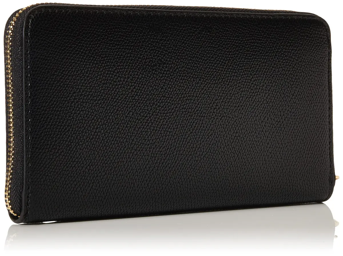 ALDO Ligosullo Women's Black Wallet | 19cm x 2cm x 11cm - view 4